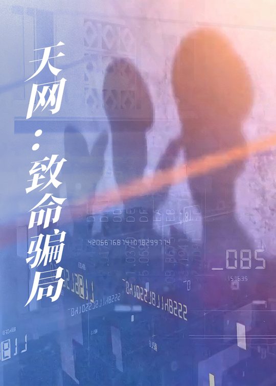 天网:致命骗局封面