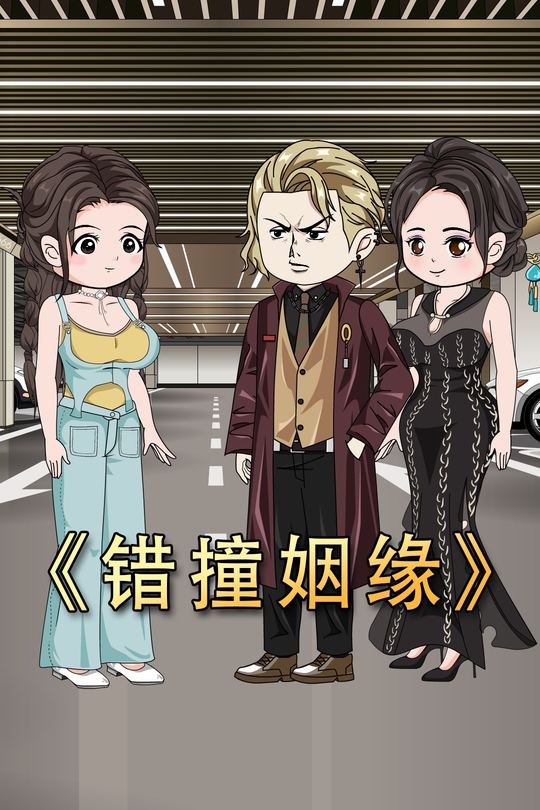 错撞姻缘封面