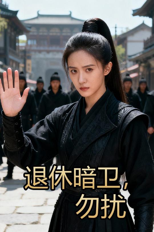 退休暗卫,勿扰封面
