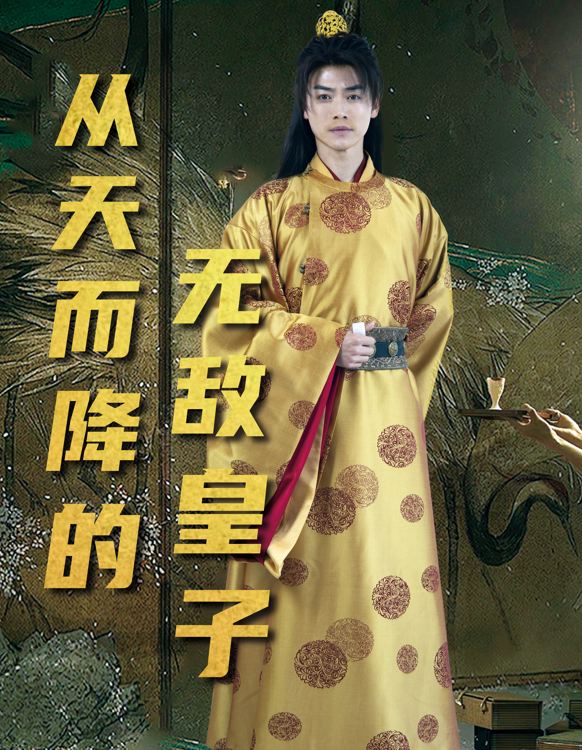 从天而降的无敌皇子封面