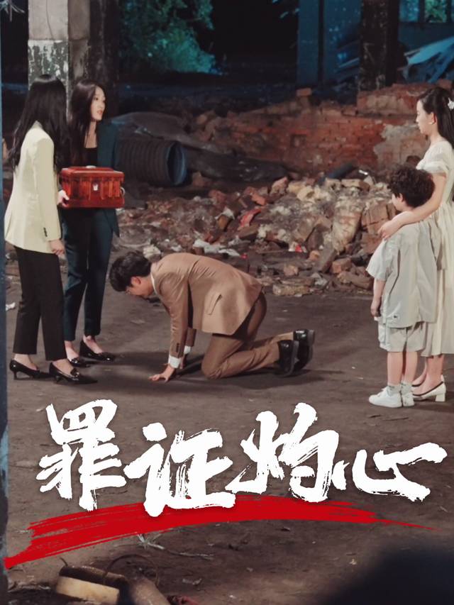 罪证灼心封面
