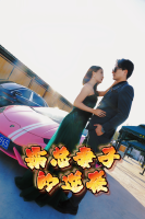 霸总妻子的逆袭封面