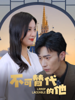 不可替代的他封面