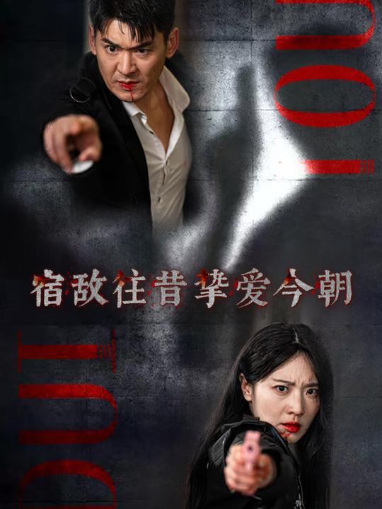 宿敌往昔挚爱今朝封面