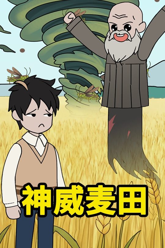 神威麦田封面