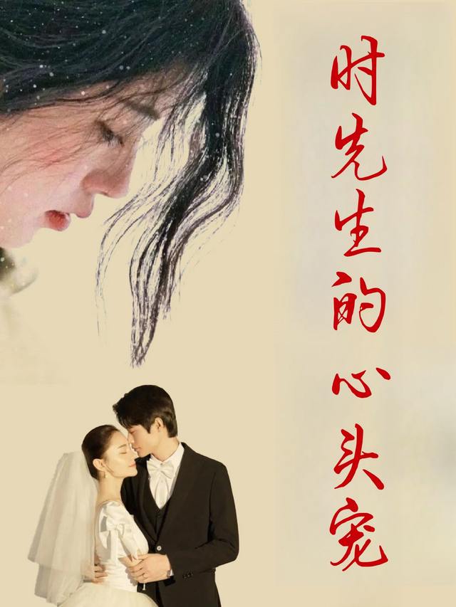 时先生的心头宠封面