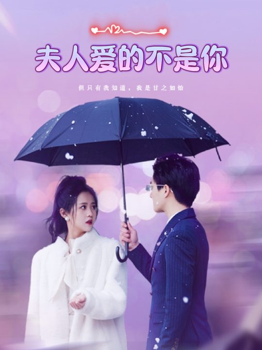 夫人爱的不是你封面