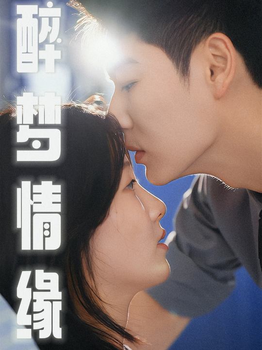 醉梦情缘封面