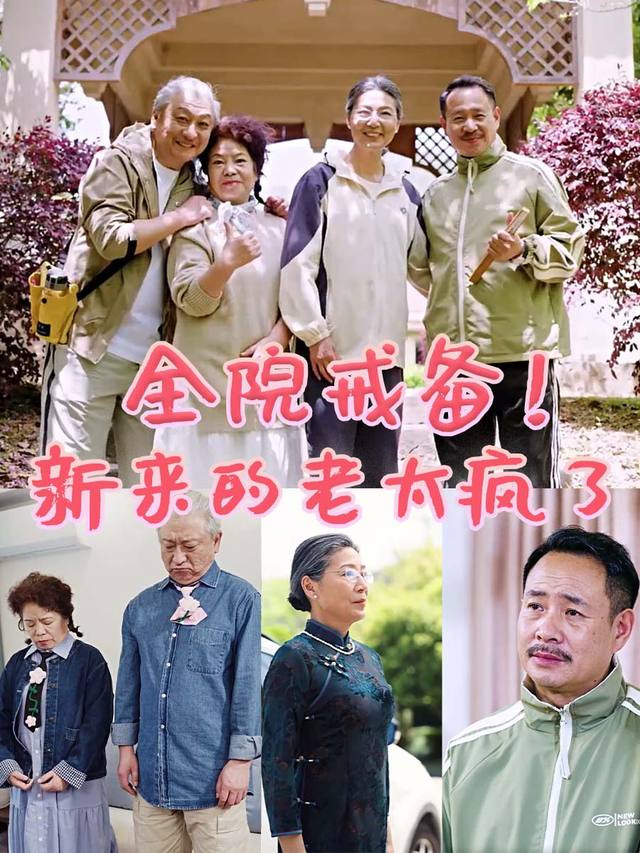全院戒备!新来的老太疯了封面