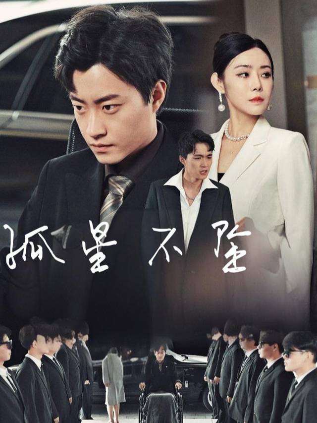 孤星不坠封面