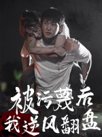 被污蔑后我逆风翻盘封面