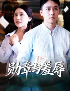勋章与羞辱封面