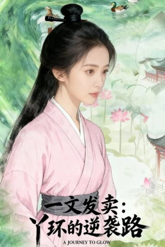 一文发卖：丫环的逆袭路封面