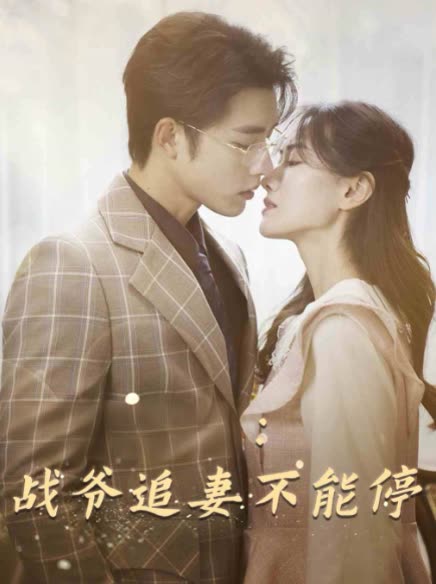 战爷追妻不能停封面