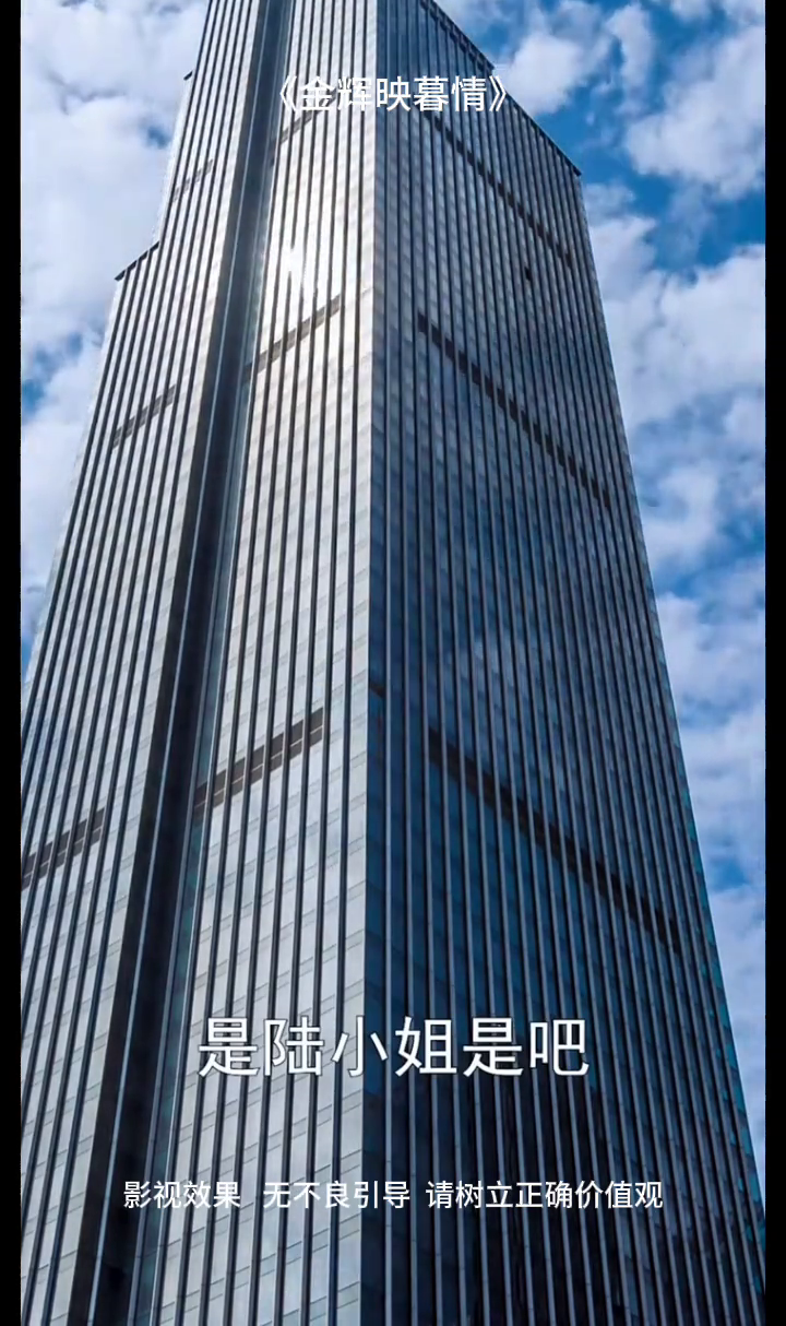 金辉映暮情封面