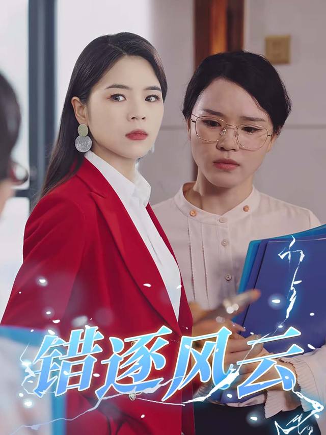 错逐风云封面