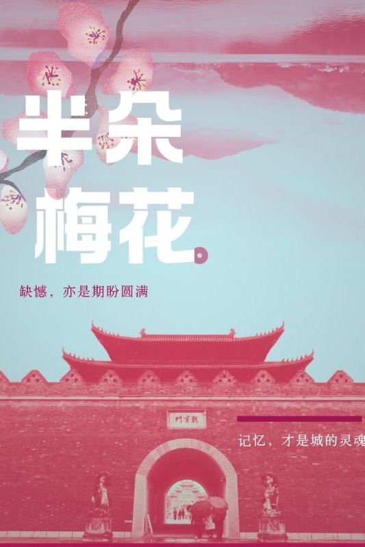 半朵梅花封面