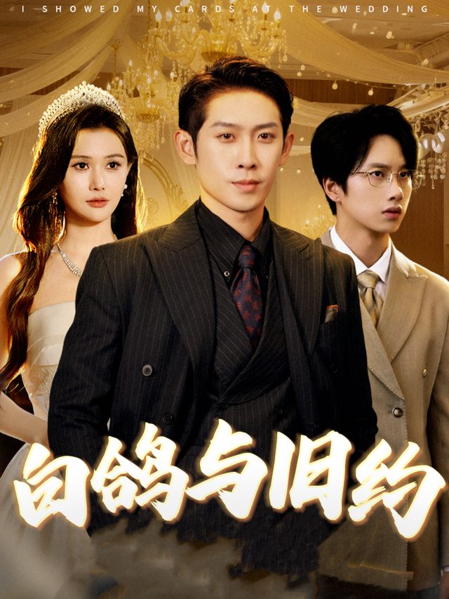 白鸽与旧约封面