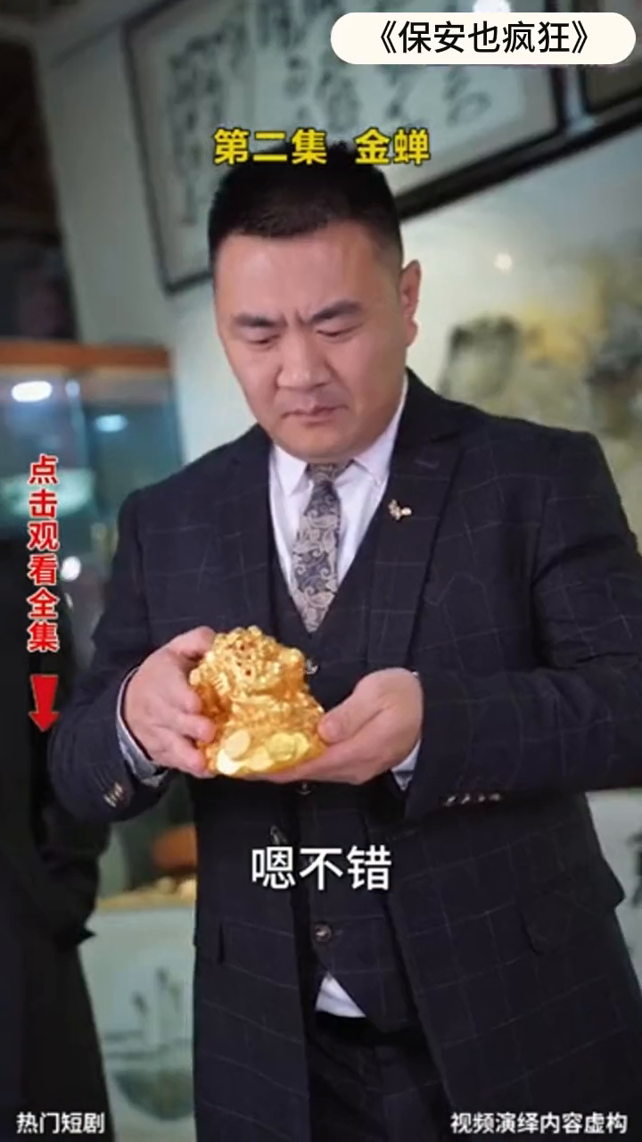 保安也疯狂封面