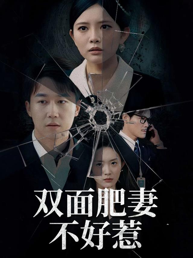 双面肥妻不好惹封面