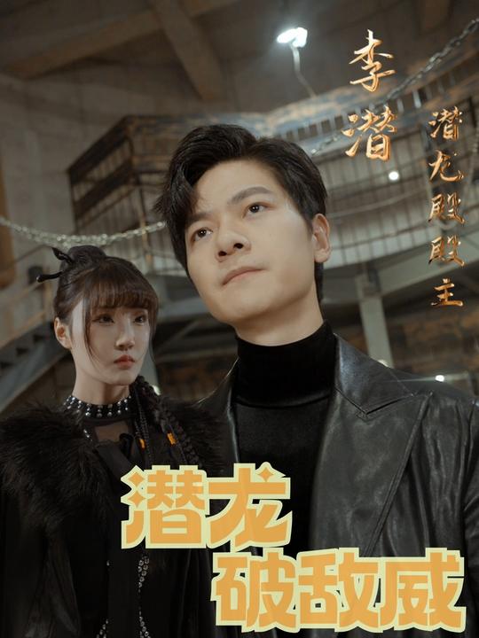 潜龙破敌威封面