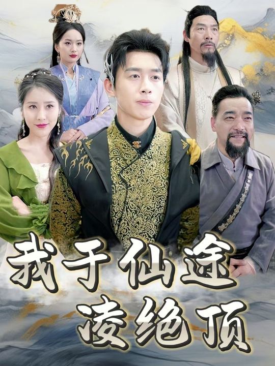 我于仙途凌绝顶封面