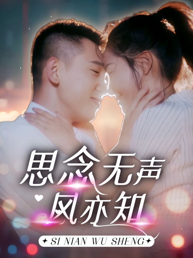 思念无声风亦知封面