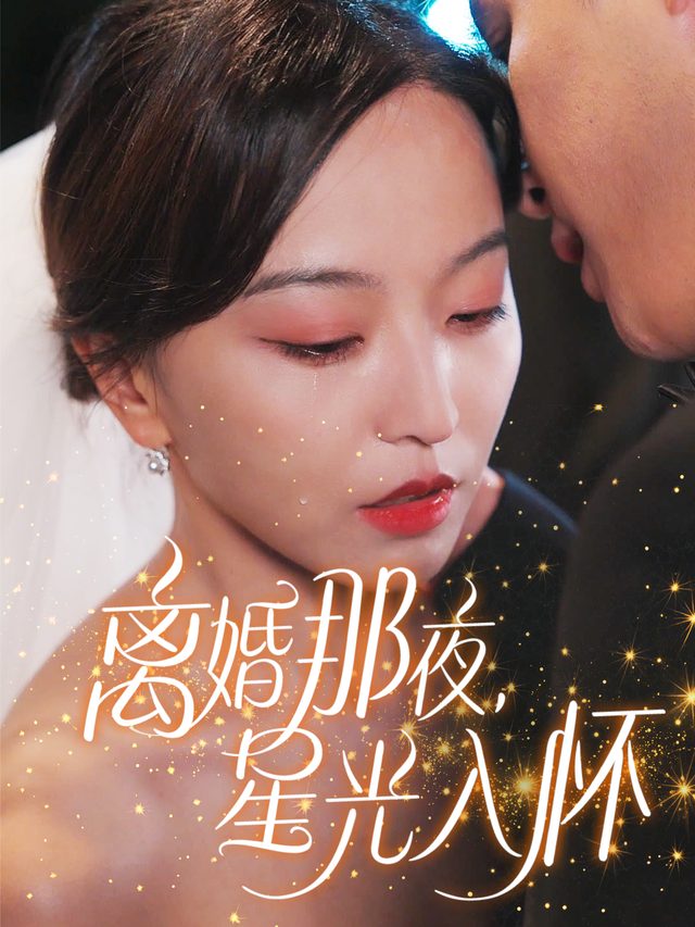 离婚那夜,星光入怀封面