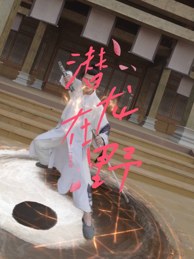 潜龙在野封面