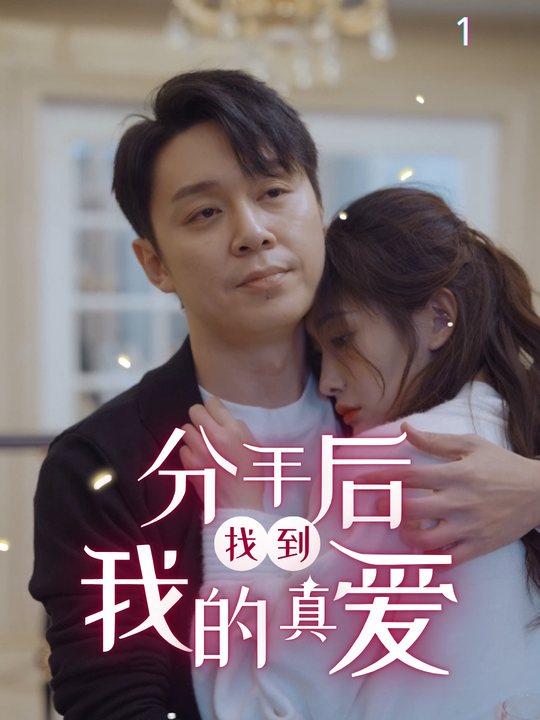 分手后找到我的真爱封面