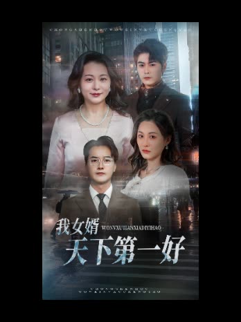 我女婿天下第一好封面