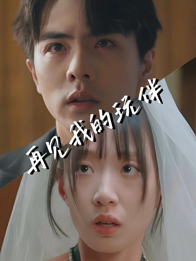 再见我的玩伴封面