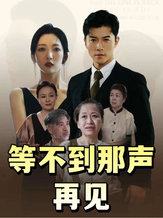 等不到那声再见封面