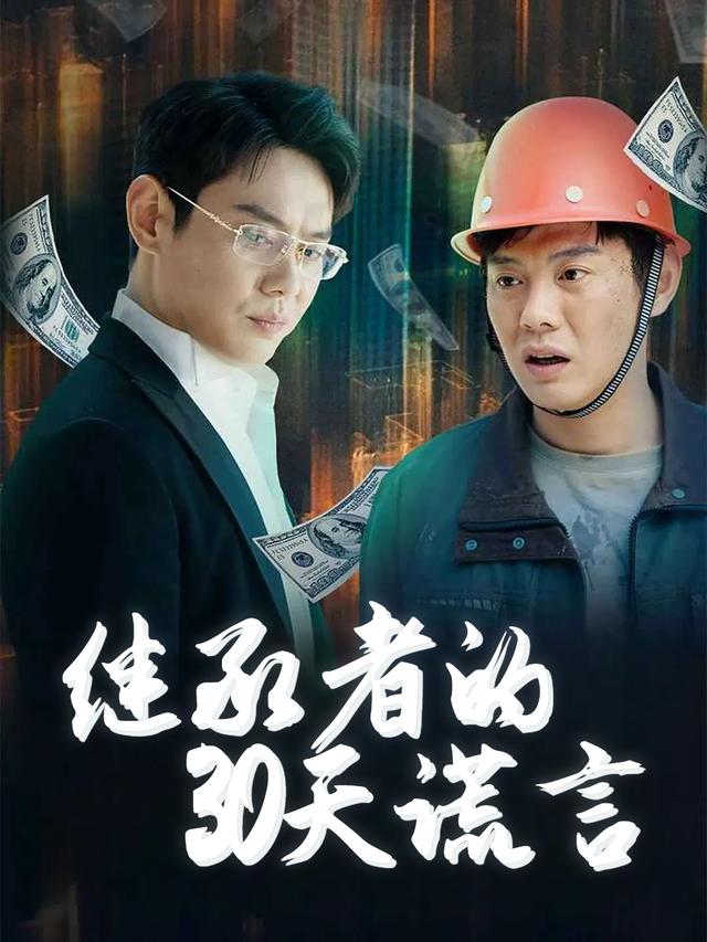 继承者的30天谎言封面