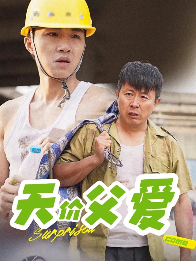天价父爱封面