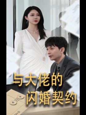 与大佬的闪婚契约封面