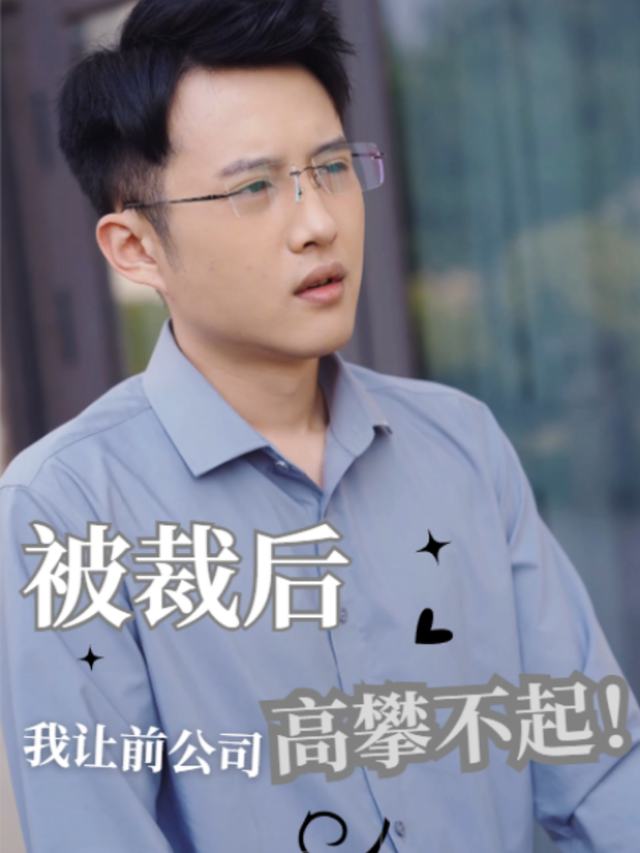 被裁后,我让前公司高攀不起封面