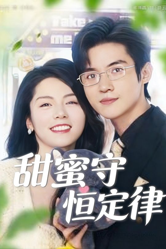 甜蜜守恒定律封面