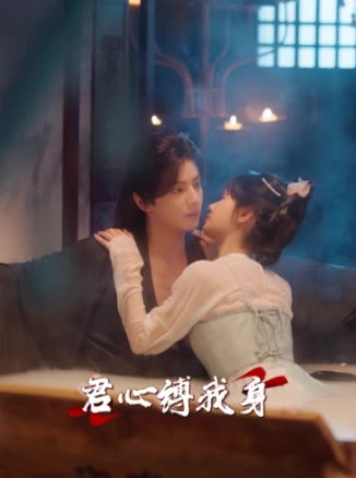 君心缚我身封面