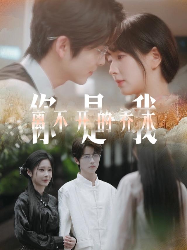 你是我离不开的乔木封面