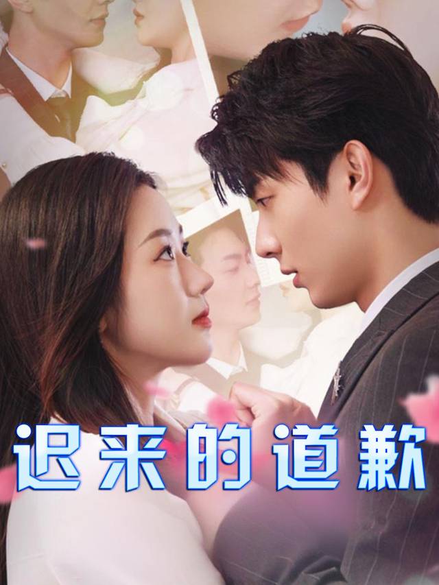 迟来的道歉封面