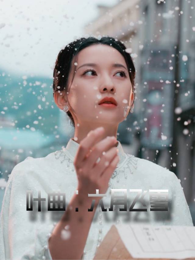 叶曲:六月飞雪封面