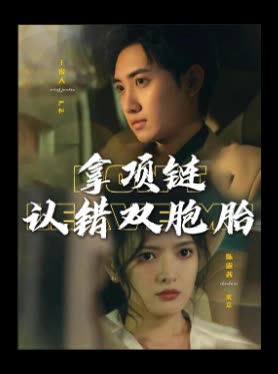 拿项链认错双胞胎封面