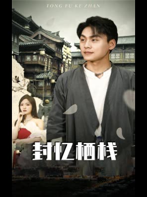 封忆栖栈封面