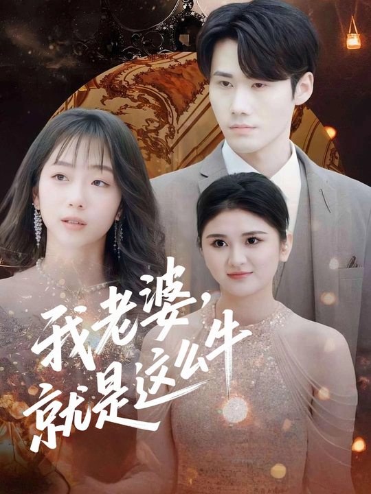 我老婆,就是这么牛封面