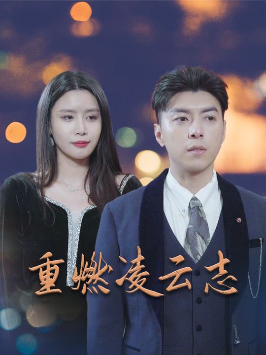 重燃凌云志封面
