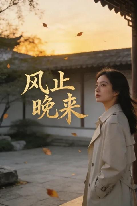 风止晚来封面