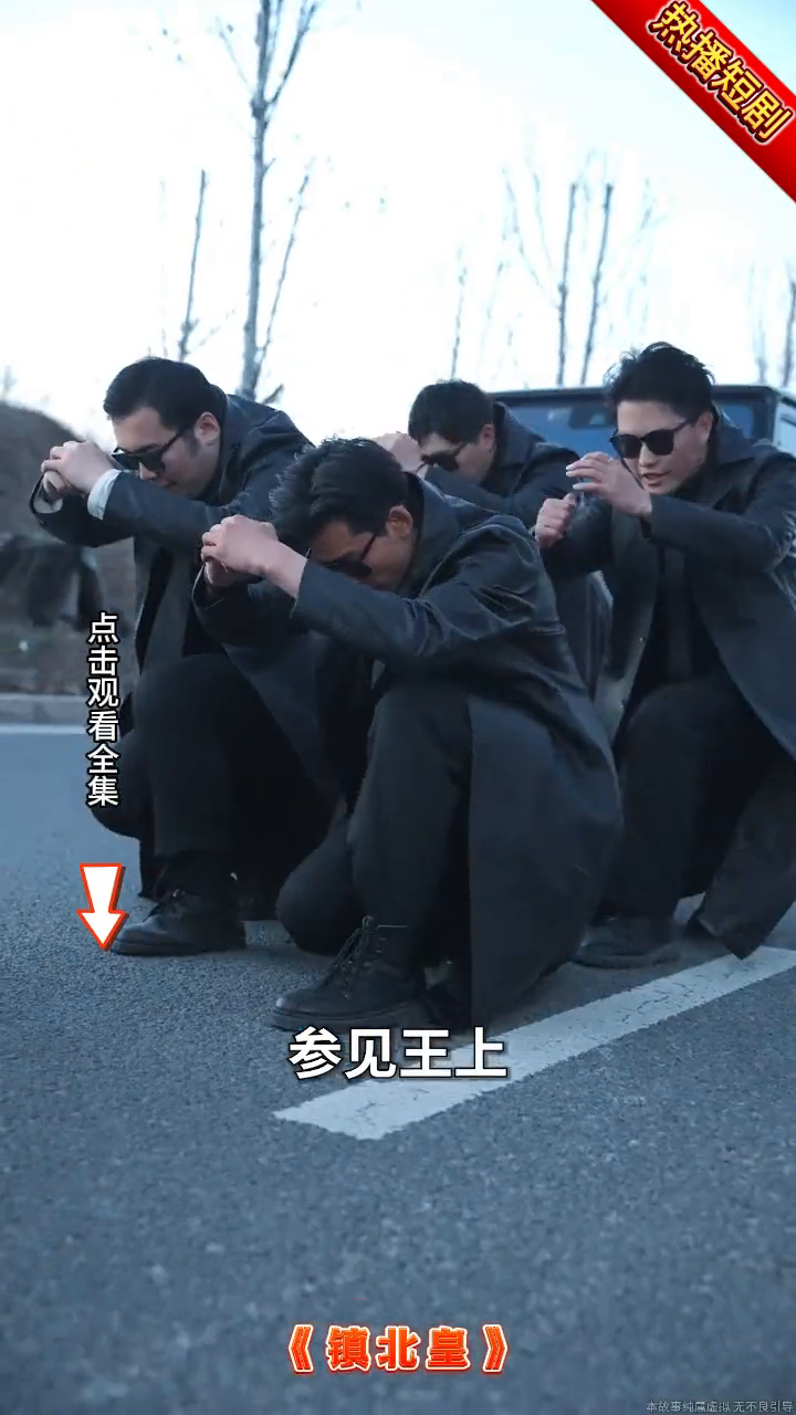 镇北皇封面