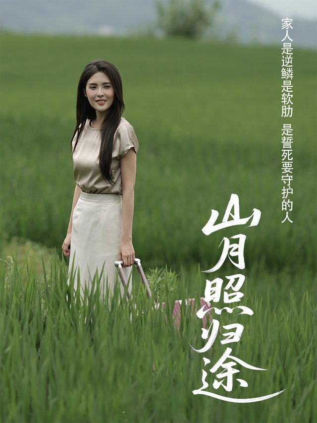 山月照归途封面