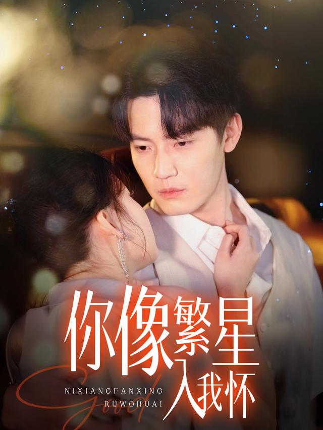你像繁星入我怀封面